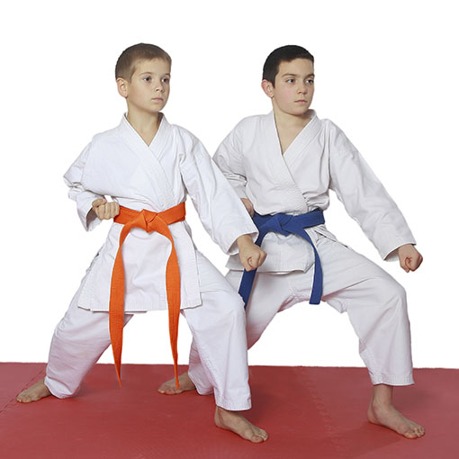 Students with a blue and orange belt showing a low block in a front stance